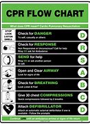Image result for CPR Flow Chart Veterinary