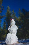 Image result for Frozen kill the snowman