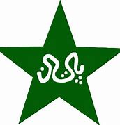 Image result for Pakistan Cricket Board Logo