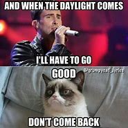 Image result for Grumpy Cat Song Memes
