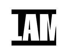 Image result for Slam T-Net Logo