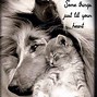 Image result for Cute Animal Quotes