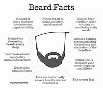 Image result for Awesome Beard Meme