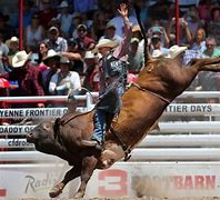 Image result for Cheyenne Rodeo Wild Horse Race