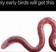 Image result for Worms Typing Meme