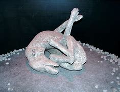 Image result for Pompeii Animal Bodies