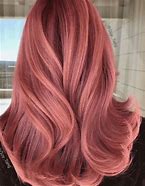 Image result for Champagne Rose Gold Hair Color 4C