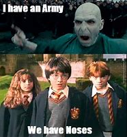 Image result for Harry vs Voldemort Funny