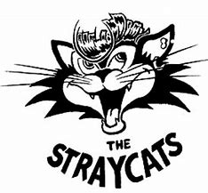 Image result for Stray Cats Album