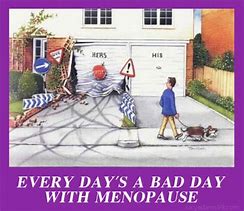 Image result for Menopause MEME Funny