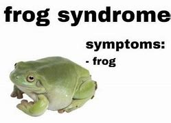 Image result for Fat Frog Meme