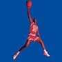 Image result for Air Jordan Logo