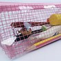 Image result for Pink Clear Pencil Case