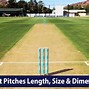 Image result for How Long Is a Cricket Pitch
