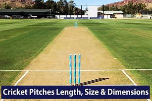 Image result for Landscape Desihn with Cricket Practise Pitch