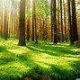 Image result for Amazing Nature
