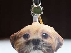 Image result for Dog Car Key Ring Holder