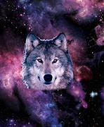 Image result for Galaxy Wolf Pictures