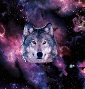 Image result for Galaxy Wolf Quotes