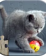 Image result for Cute Cat Puzzle