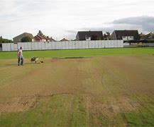Image result for Cricket Ground in Autumn