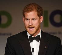 Image result for Prince Harry Work