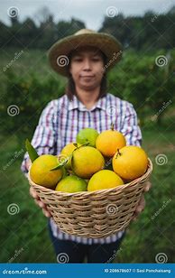 Image result for Orange Snack Basket