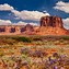 Image result for Monument Valley National Park