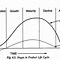 Image result for Process Life Cycle Stages Image