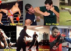 Image result for Top Ten Deadliest Fighting Styles