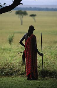 Image result for Masai Warrior with Spear
