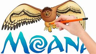 Image result for Moana Hawk