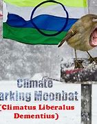 Image result for Bomb Cyclone Meme