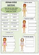 Image result for Human Body Systems Chart