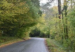 Image result for 3150 tremenot rd 