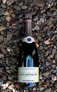 Image result for Louis Barthelemy Champagne Brut Saphir