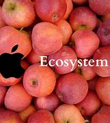 Image result for Apple Ecosystem Diagram