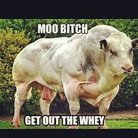 Image result for Funny Protein Memes