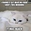 Image result for White Cat at Table Meme
