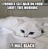 Image result for White Cat Creature Meme