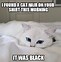 Image result for Funny White Cat Meme