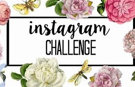 Image result for The Challenge Instagram