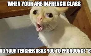Image result for French Class Memes
