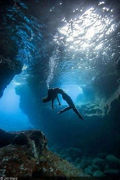 ocean aesthetic | Underwater photography, Travel aesthetic, Places to travel