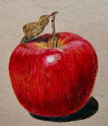 Image result for Apple Art Drawing