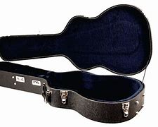 Image result for Oo Guitar Case