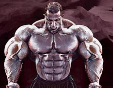 Image result for Muscle Man Bodies