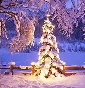 Image result for Christmas Vacation Photos