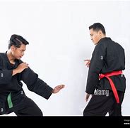 Image result for Silat Fighting