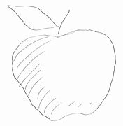Image result for Drawn Apple Vector